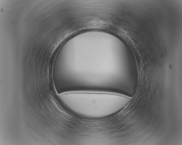 X0000057060108200509090827