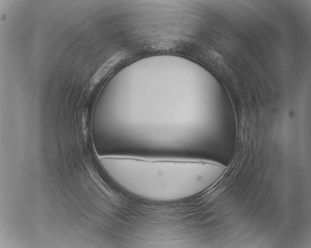 X0000057060116200509090827