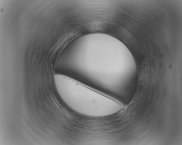 X0000057060124200509090827