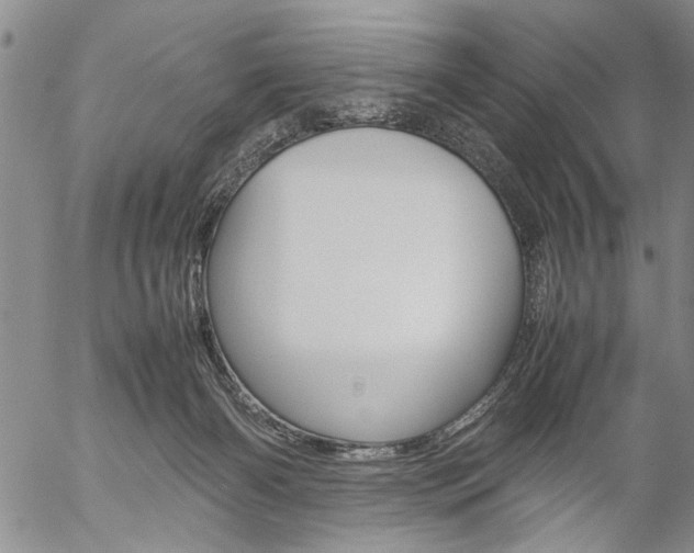 X0000057060126200509090827