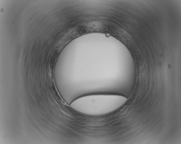 X0000057060173200509090826