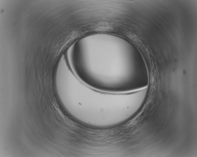 X0000057060201200509090825