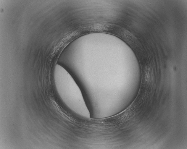 X0000057060206200509090825