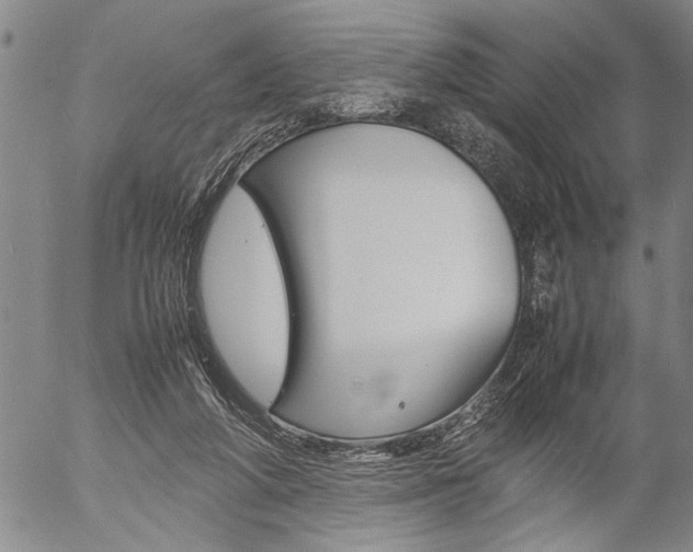 X0000057060210200509090825