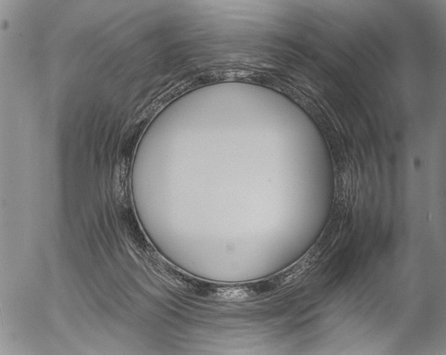 X0000057060218200509090825