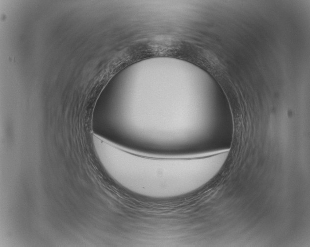 X0000057060221200509090825