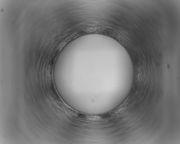 X0000057060226200509090825
