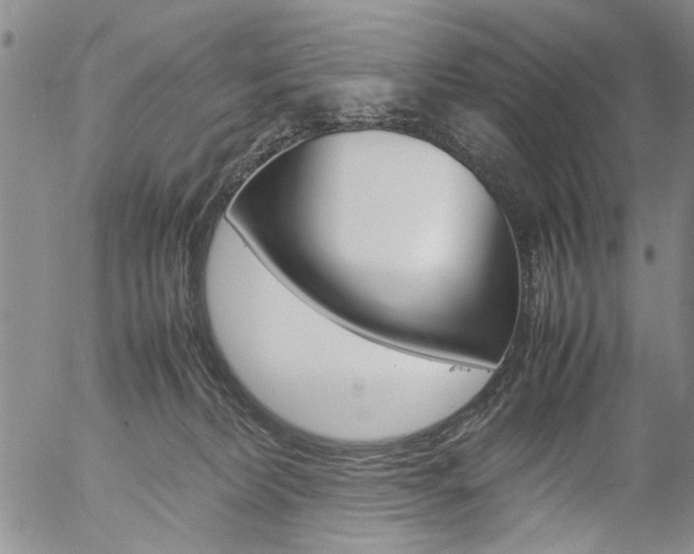 X0000057060228200509090825