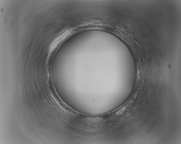 X0000057060245200509090824