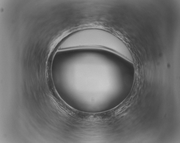 X0000057060248200509090824