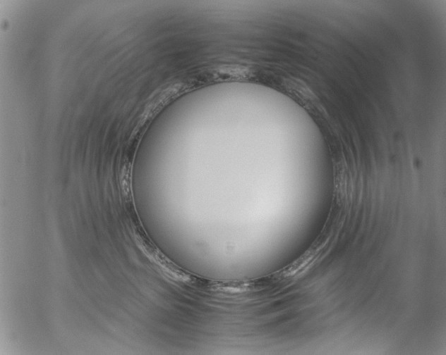 X0000057060285200509090825