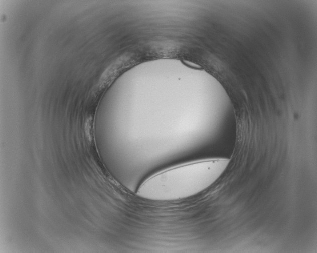 X0000057060286200509090825