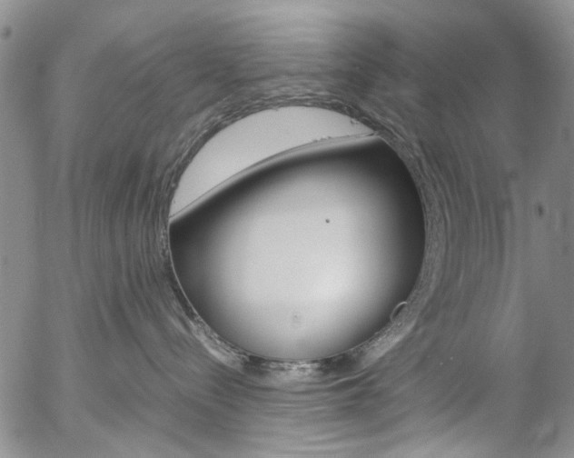 X0000057060288200509090825