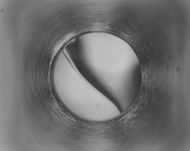 X0000057060292200509090824