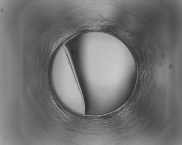 X0000057060299200509090824