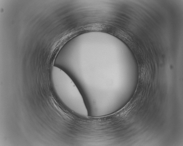 X0000057060302200509090824