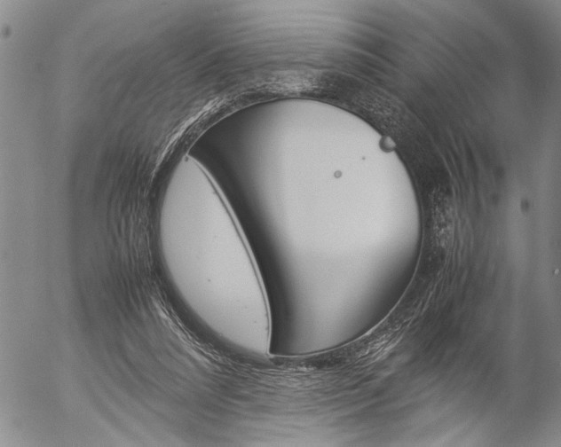 X0000057060304200509090824