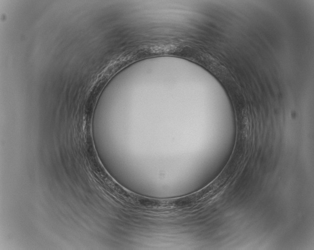 X0000057060308200509090824