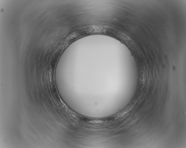 X0000057060326200509090823