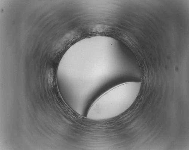 X0000057060328200509090823