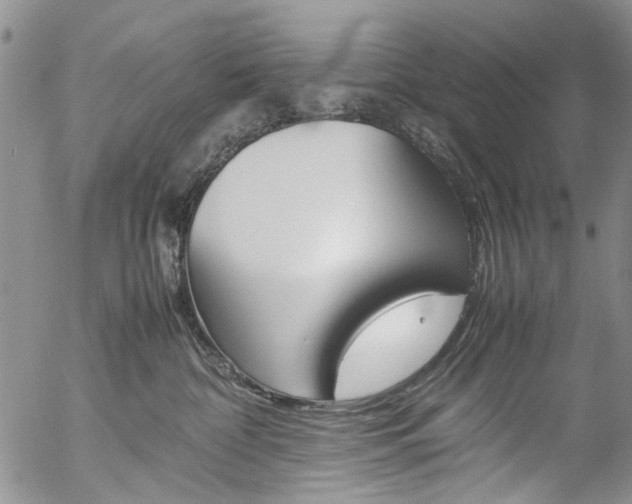 X0000057060332200509090823