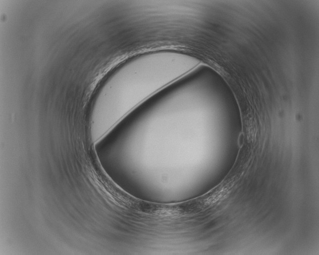 X0000057060350200509090823