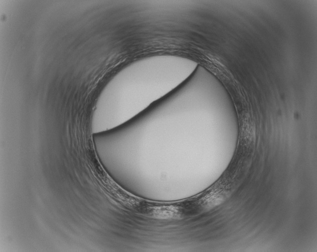 X0000057060363200509090823
