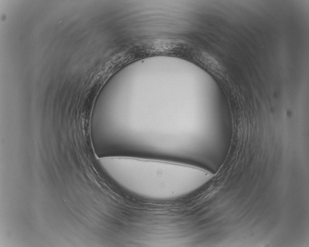 X0000057060366200509090823