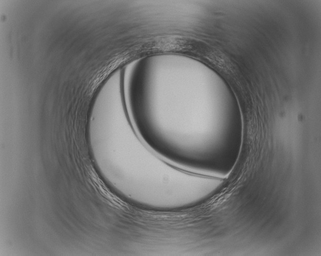 X0000057060393200509090822