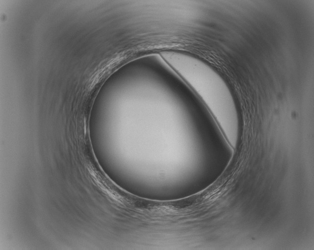 X0000057060397200509090822