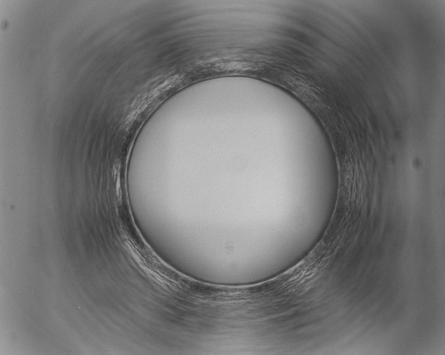 X0000057060398200509090822