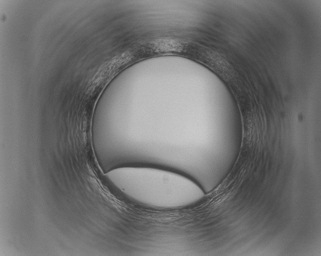 X0000057060402200509090822