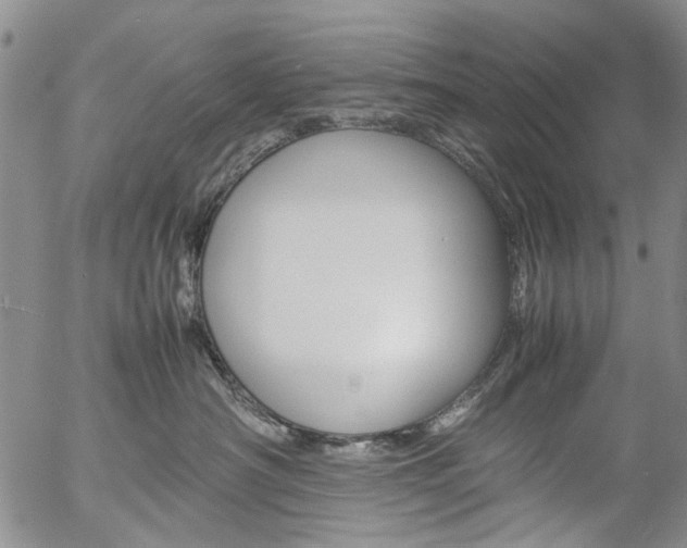 X0000057060430200509090822