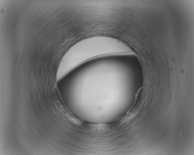 X0000057060432200509090822