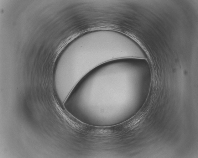 X0000057060437200509090821