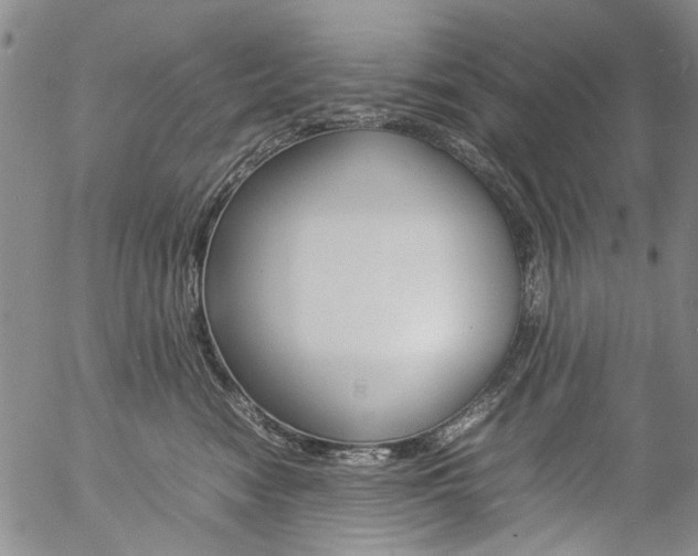 X0000057060474200509090821