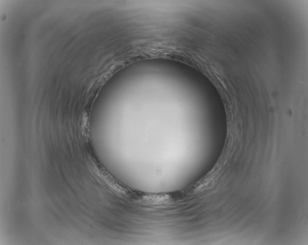 X0000057060480200509090822