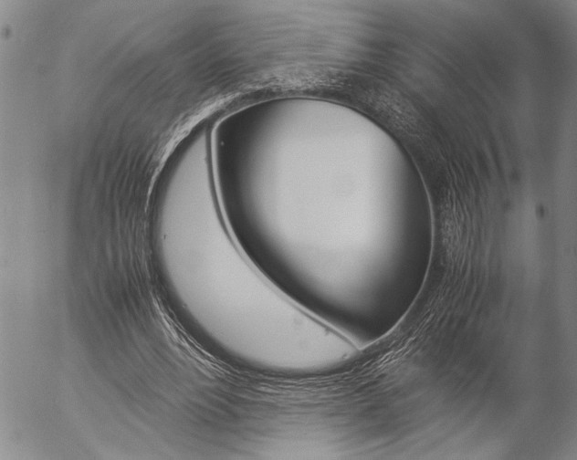 X0000057060488200509090821