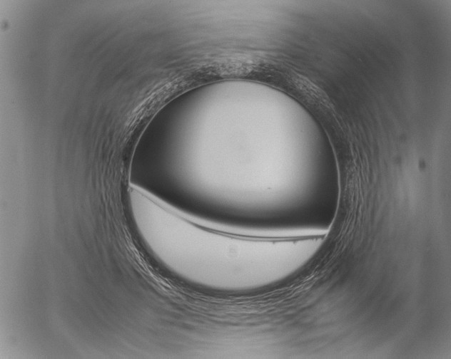 X0000057060501200509090820