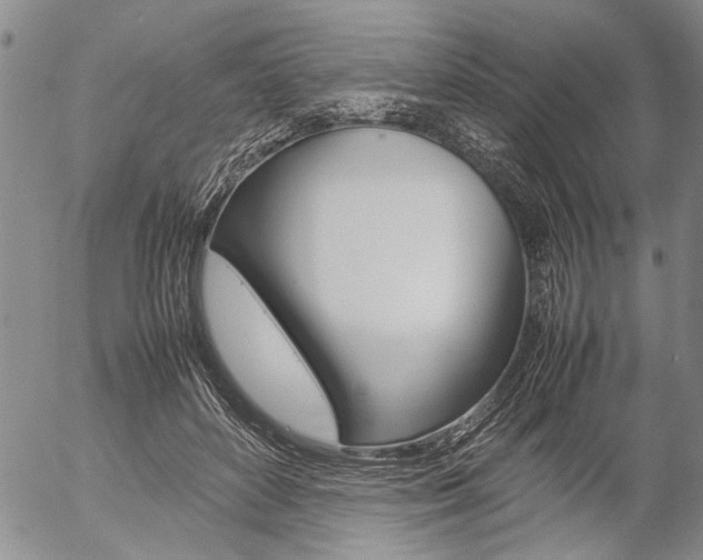 X0000057060504200509090820