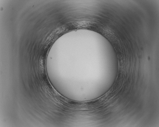 X0000057060506200509090820