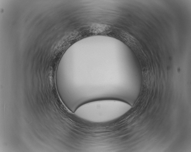 X0000057060510200509090820