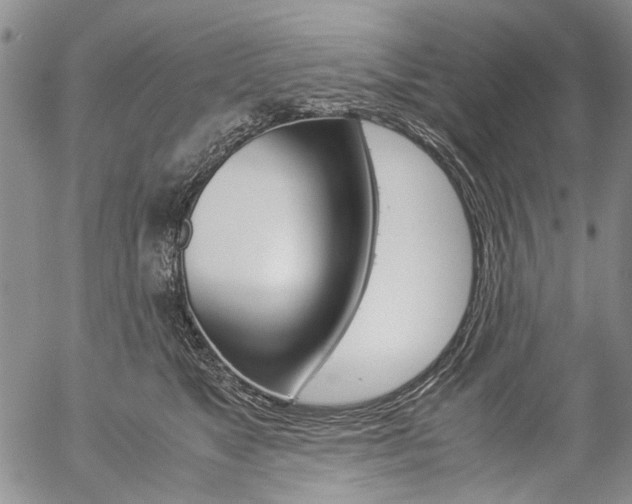 X0000057060517200509090820