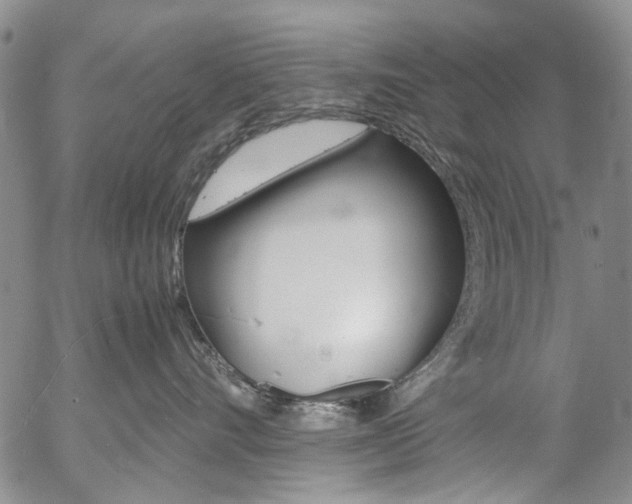 X0000057060528200509090820