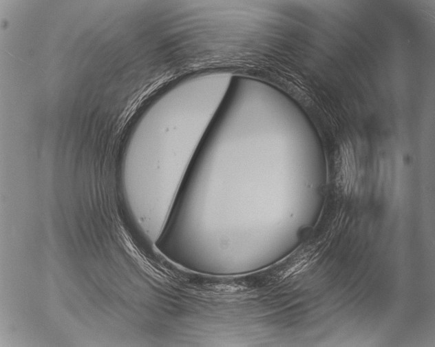 X0000057060542200509090819