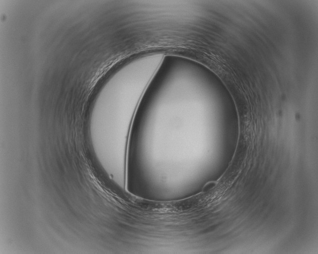 X0000057060544200509090819