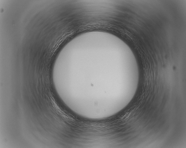 X0000057060546200509090820