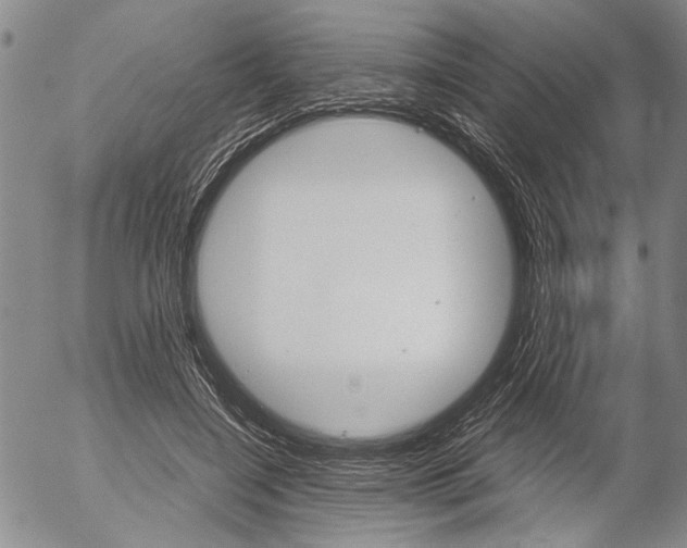 X0000057060548200509090820