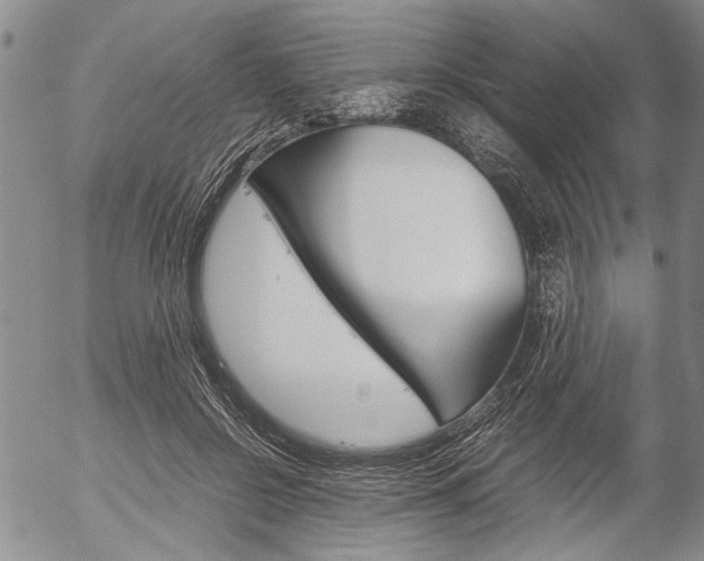 X0000057060550200509090820