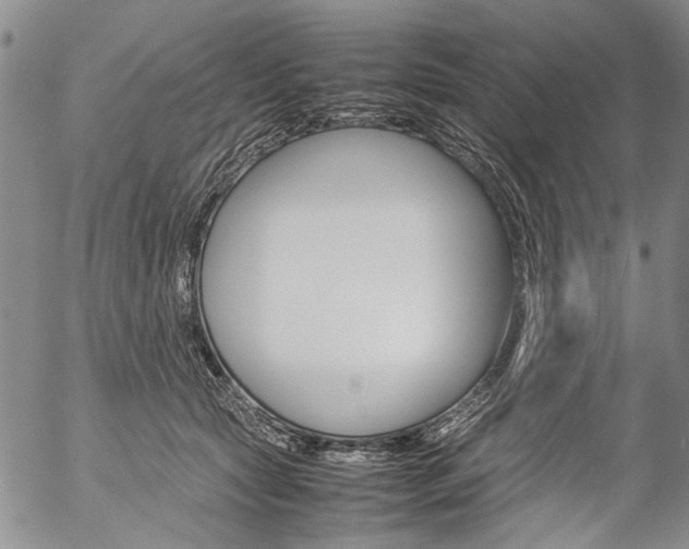 X0000057060561200509090820
